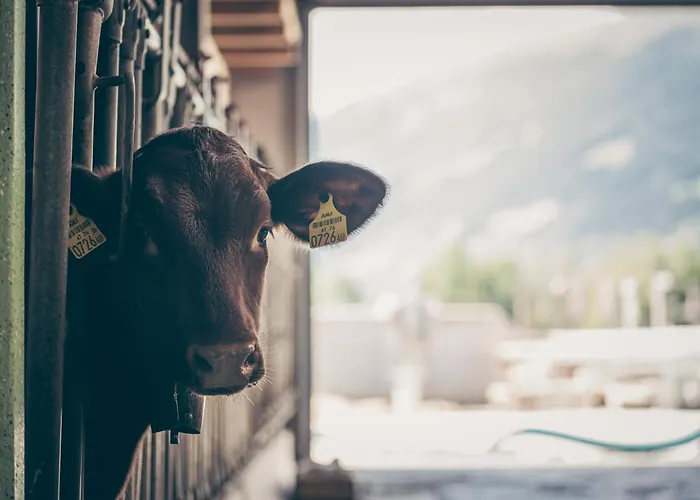 Lägenhet Kinderbauernhof Scharrerhof *